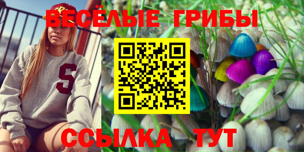 Карталы  Псилоцибиновые грибы Cubensis  Вход с VPN 